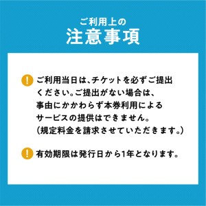 桜島半日カヤックツアー 2名様 ご利用券 K187-FT001