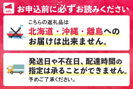 【先行受付】佐賀県産ライチ 600g(贈答用) K060011