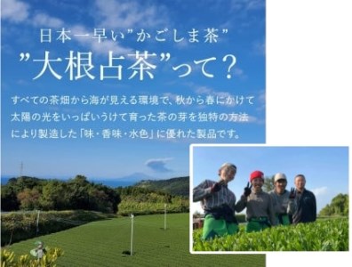 No.056-1 玄米茶ティーバッグ【ノウフクJAS認証茶】（抹茶入り・4g×10p）