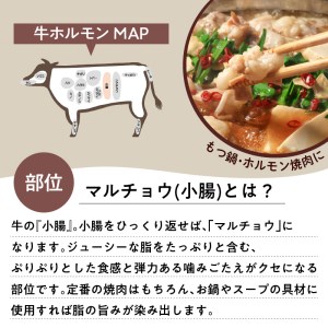 黒毛和牛 ！大人気の もつ （ ホルモン ）セット K002-006 肉 牛肉 冷凍