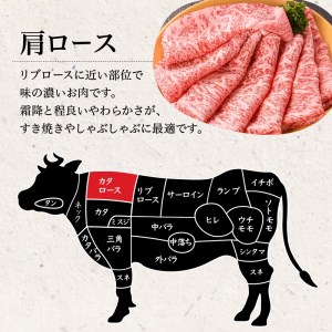 鹿児島県産黒毛和牛肩ロース肉（4等級） K171-001 肉 牛肉 冷凍