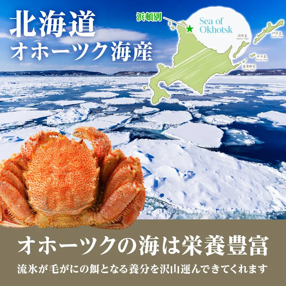 北海道産 毛ガニ 毛蟹の鉄砲汁6人前（2人前×3パック）
