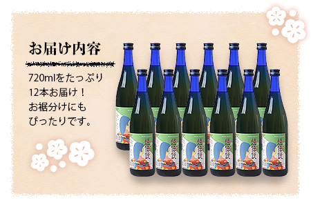 椎葉村産梅使用 梅酒「姫伝説」720ml×12本セット 梅酒 梅 お酒 ギフト SN-09