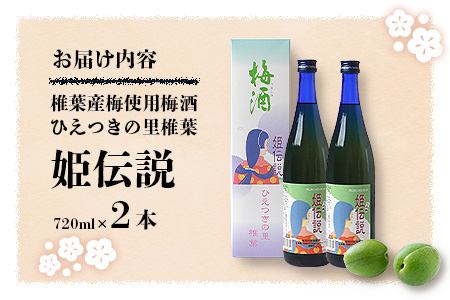 椎葉村産梅使用 梅酒「姫伝説」720ml×2本 梅酒 梅 お酒 SN-11