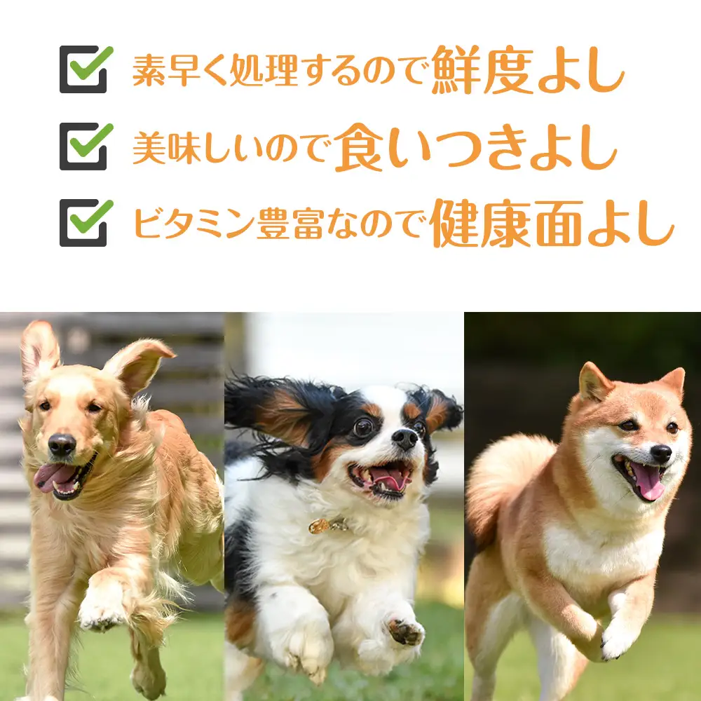 犬 おやつ 無添加 国産 エゾ鹿 アキレス ジャーキー (100g)