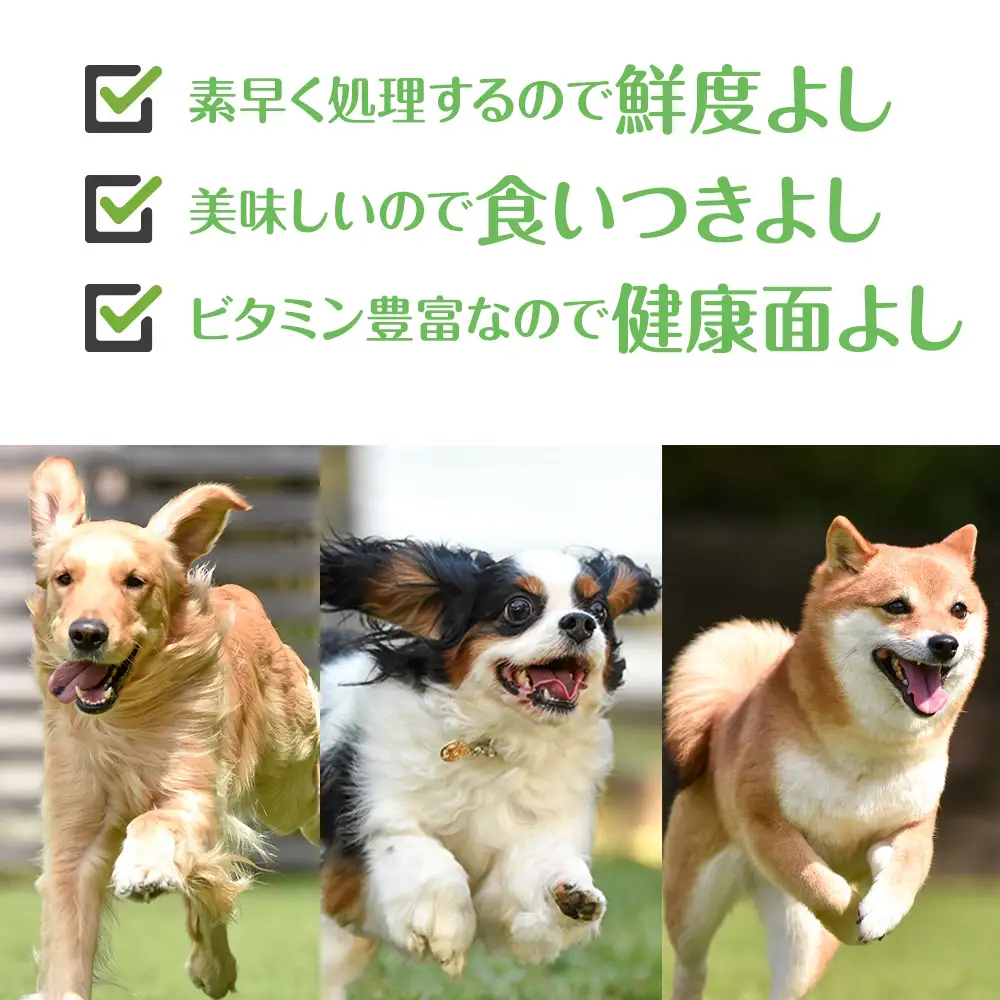 犬 おやつ 無添加 国産 エゾ鹿 アキレス 腱 (50g)