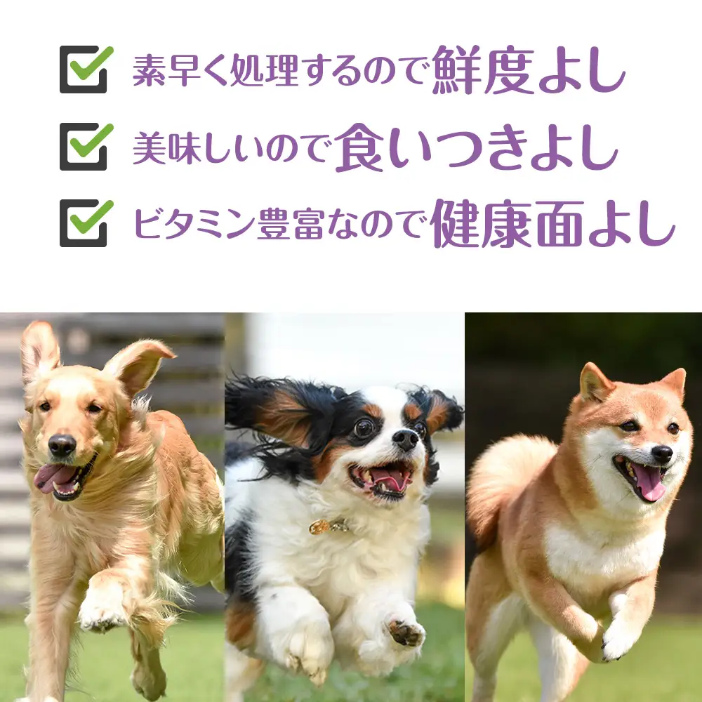犬 おやつ 無添加 国産 骨 エゾ鹿 肉付き アバラ骨 (150g)
