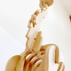 手作り恐竜 ブラキオサウルス タイプ Sサイズ[ 恐竜 パズル 知育 キッズ 子供 おもちゃ 玩具 ] 立体パズル 組み立て 恐竜のほねほねパズル 工具不要 安全を考えて作られた 手作りの恐竜 