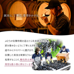 FYN6-231 【月山トラヤワイナリー】 月山山麓（白） ハーフボトル 360ml 白ワイン 山形県 西川町