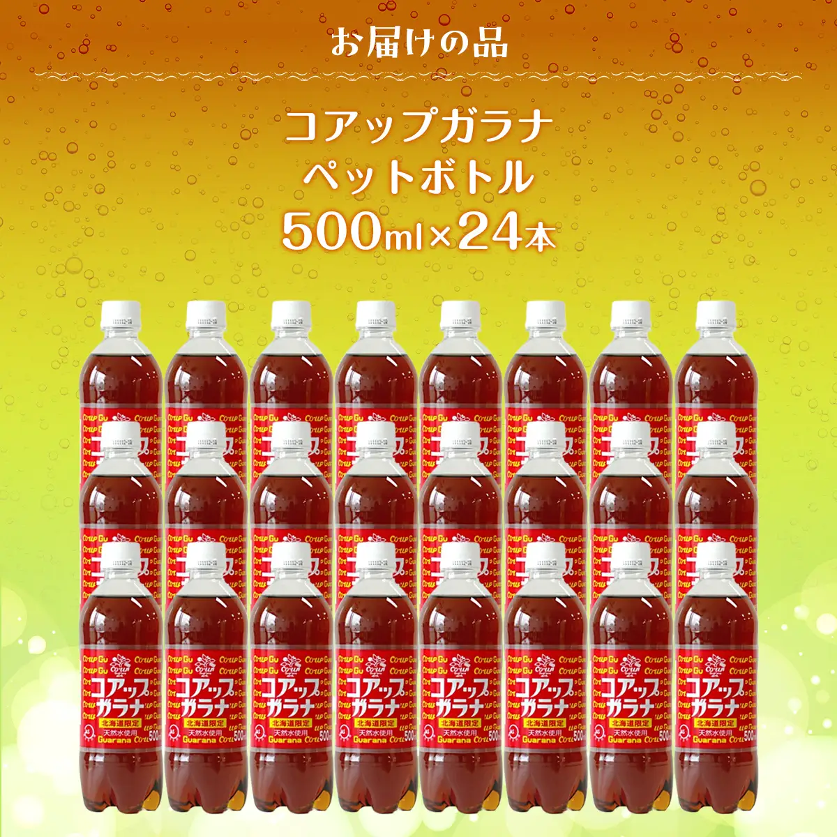 コアップガラナ24本セット（500mlペットボトル） NAQ003
