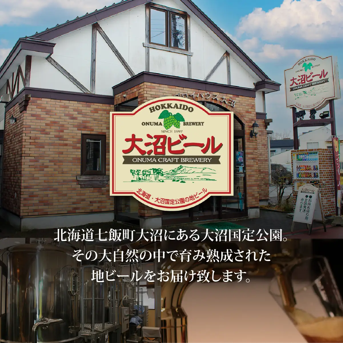 【金賞受賞】大沼ビール350ml 24缶入飲み比べセット （ｹﾙｼｭ6缶・ｱﾙﾄ6缶・IPA6缶・ｽﾀｳﾄ6缶） NAH007