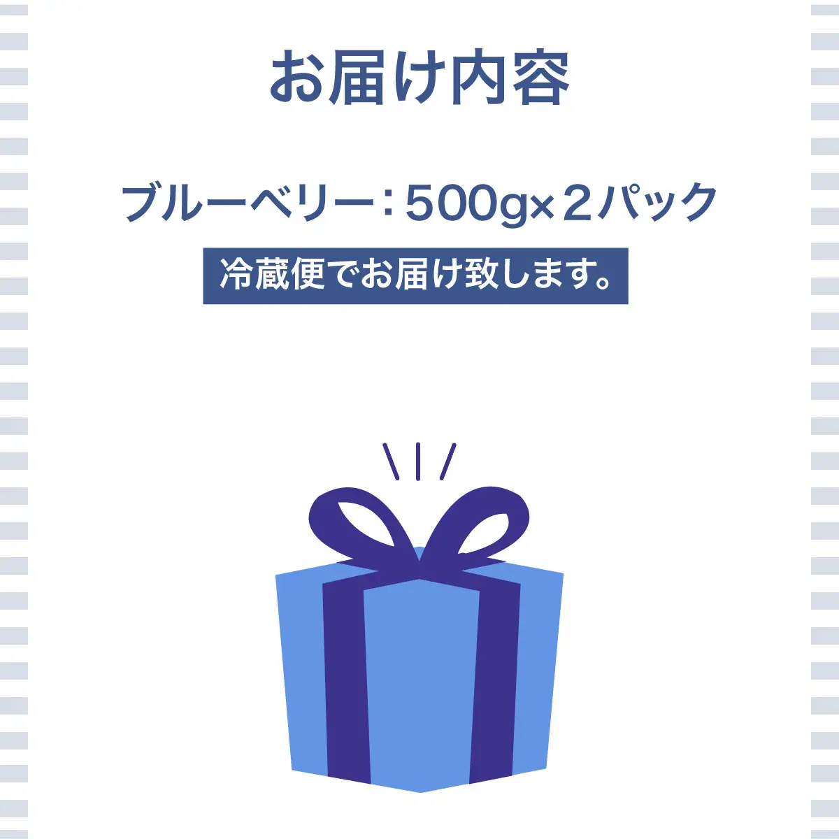 【先行予約】 令和8年7月下旬頃より発送  北海道七飯町産 生ブルーベリー 500g×2パック NAR001