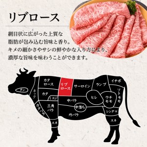 鹿児島県産黒毛和牛リブロース肉（5等級） K171-002 肉 牛肉 冷凍