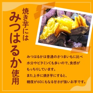 冷凍 熟成焼き芋みつはるか K169-001