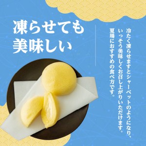 かすたどん 24個入 K167-002