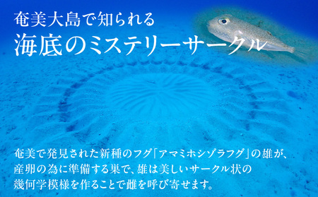 大島紬 で作る 曼茶羅 （ キット ） K166-001_01