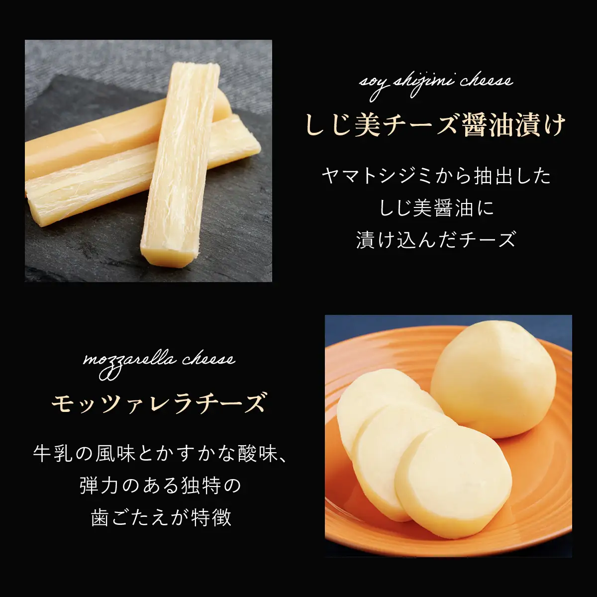 チーズオールスターズ OSA007 | チーズ