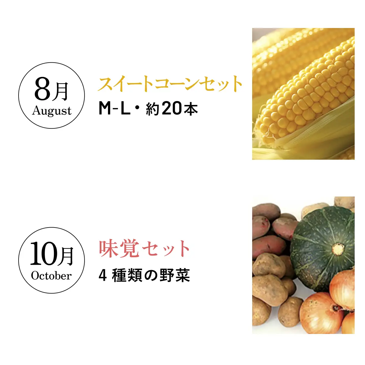大空町プレミアムセット全6回 OSA025 | チーズ