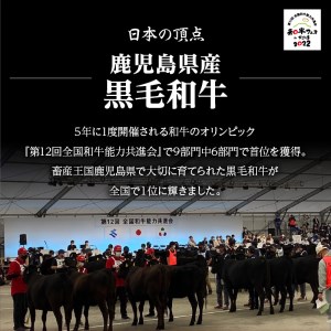 黒毛姫牛 ローストビーフ 300g タレ付き K328-019 肉 牛肉 冷凍