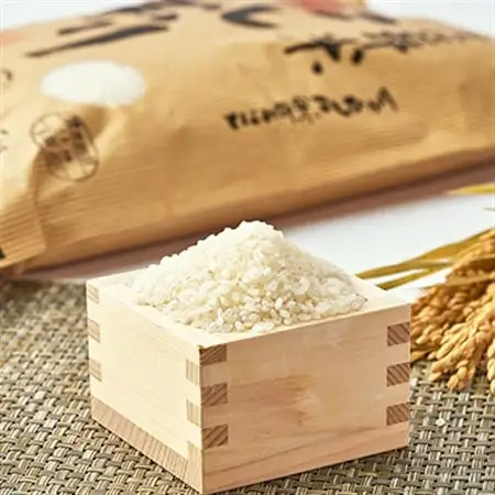 【令和7年産】となみ野米こしひかり5kg_ 精米 米    コシヒカリ 米 こしひかり_【1397287】