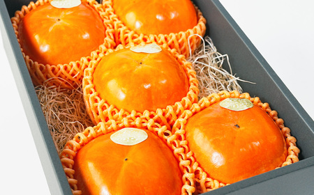 【堀内果実園】《贈答用》富有柿 大玉ギフト 4L以上 5玉 | 秋 旬 国産 奈良県 五條市