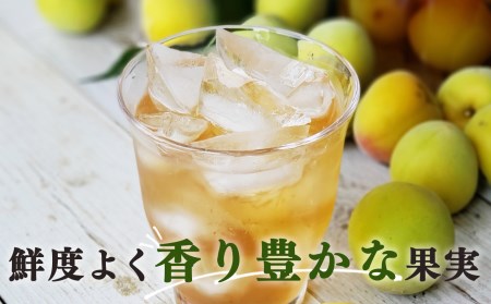 【堀内果実園】奈良県産 特別栽培 大切に育てた青梅(梅ジュース・梅酒用）3kg | 果実 6月 奈良県 五條市