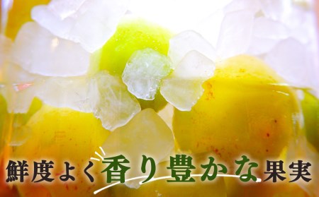 【堀内果実園】奈良県産 特別栽培 大切に育てた南高梅(完熟・梅干し用）3kg | 果実 6月 奈良県 五條市