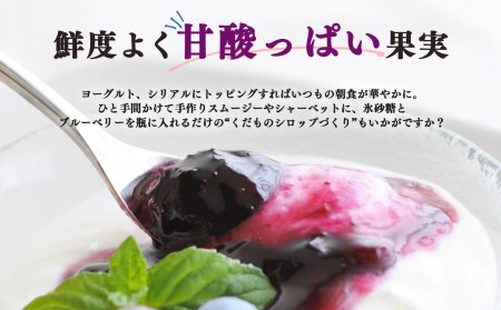 【堀内果実園】奈良県産 特別栽培 ブルーベリー90gx6Pセット | 低農薬 季節限定 奈良県 五條市