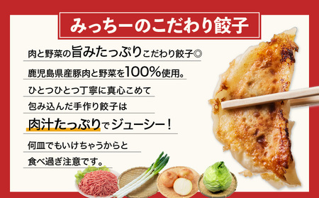 【5営業日以内に発送】鹿児島人気餃子店のお得な餃子食べ比べセット K118-001 肉 豚肉 惣菜 総菜 冷凍 スピード配送 最短 すぐ届く お急ぎ