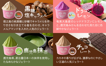 ジェラート マエストロ コンテスト 優勝 ！ 鹿児島 ジェラート 6個入り K121-001 アイスクリーム アイス ジェラート スイーツ マンゴー パッション ドラゴンフルーツ フルーツ 黒糖 塩キャラメル キャラメル チョコレート 抹茶 詰合せ 詰め合わせ セット 食べ比べ スイートスイーツ ふるさと納税 鹿児島 おすすめ ランキング プレゼント ギフト