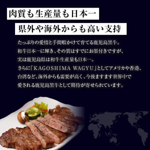 （T-1801）鹿児島黒牛サーロインステーキセット 計800g K127-006 肉 牛肉 冷凍