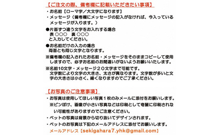 ペットの可愛いお写真をキーホルダーに♪うちの子アクリルキーホルダー（デザインA） 【A】ホワイト