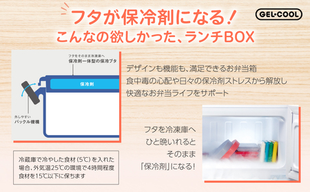 GEL-COOL お弁当箱 スクエアモデル SMセット マカロンピンク MROK009-4