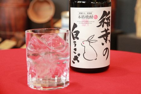 本格麦焼酎　稲葉の白うさぎ 【 お酒 焼酎 長野県 佐久市 】