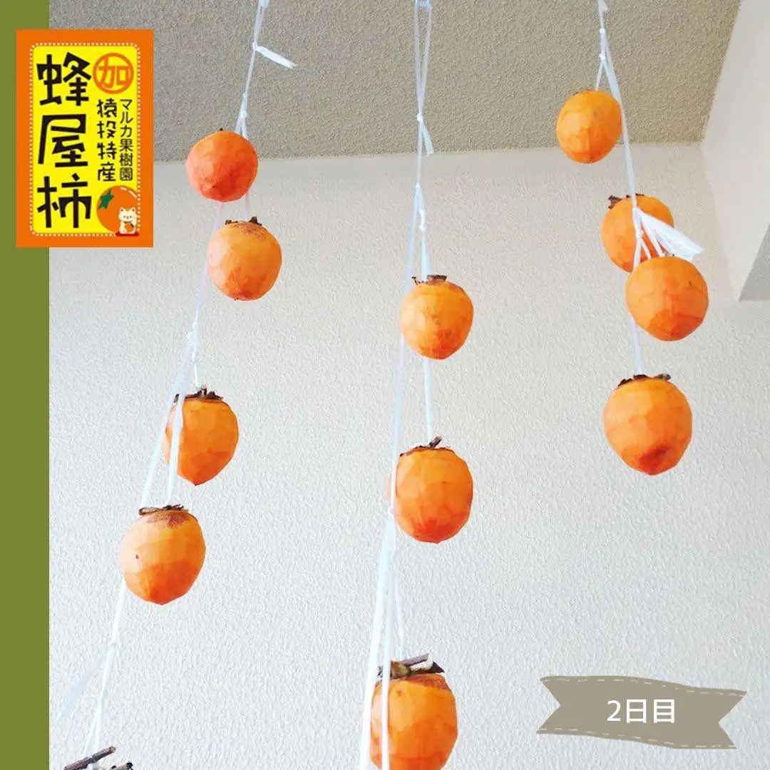 ＜先行受付＞蜂屋柿　約6kg 【2026年10月中旬以降順次発送】