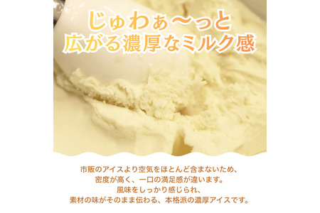 プロテインアイス あいすたんぱっくん しおみるく味 100ml × 12個 [KESENNUMA GOOD GOODS 宮城県 気仙沼市 20565966] 
