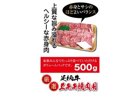 かながわブランド【足柄牛】上モモ焼肉用500g