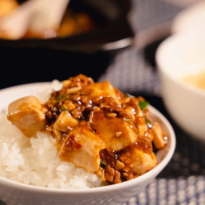 麻婆豆腐  麻婆豆腐の素 【微辛】2～3人前×5パック 合計650g