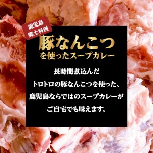 鹿児島南国スープカレー【すーぷかれー専門店 薩摩剛家】人気ランキング5食セット K006-001 肉 豚肉 惣菜 総菜 冷凍