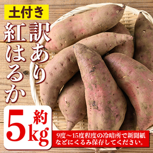 isa425 《訳あり》熟成紅はるか(約5kg・2L～3Lサイズ混合) 訳あり さつまいも 紅はるか 鹿児島 生芋 完熟 長期熟成 土付き べにはるか サツマイモ 焼き芋に 【いさ工房】