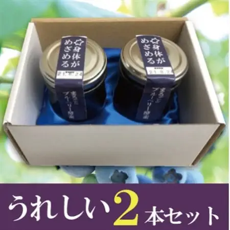 まるごとブルーベリー酵素_惣菜・加工品 果物 缶詰・瓶詰 _【配送不可地域：離島】【1393176】
