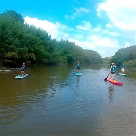 いすみ川SUPリバークルーズ体験(2名様)_旅行券・チケット  体験チケット _【1072356】