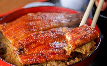 〈鰻大好き定期便〉四万十うなぎ蒲焼き≪大≫（160g x 3本）12カ月セット／ うなぎ うなぎ蒲焼 高知うなぎ 国産うなぎ うな重 鰻 国産鰻 高知鰻 冷凍鰻 鰻蒲焼 四万十うなぎ 土用の丑の日 うなぎ うなぎ うなぎ うなぎ うなぎ 鰻