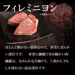 【超希少部位】肉 常陸牛A5 シャトーブリアン フィレのステーキ食べ比べセット 肉のイイジマ(DU-11)