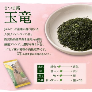 さつま路 玉竜 K110-003 茶