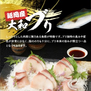 【12ヶ月定期便】大和海商大和ブリの切り身たっぷりセット N072-YH053