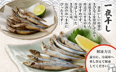 【 津曲商店 】 きびなご 一夜干し、 フライ用 詰合せ 1kg K100-001 魚 冷凍