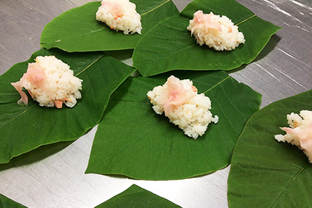 先行予約【期間限定】飛騨の初夏の味！あねかえしと朴葉寿司のセット（2026年6月初旬～6月下旬頃まで発送）【87-4】