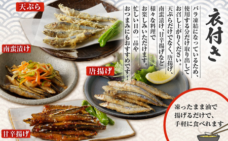 キビナゴの刺身と天ぷら セット K100-003 魚 冷凍