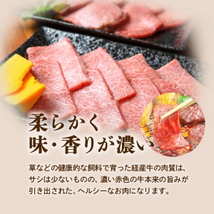 鹿児島県産黒毛和牛焼き肉カルビ K098-001 肉 牛肉 冷凍